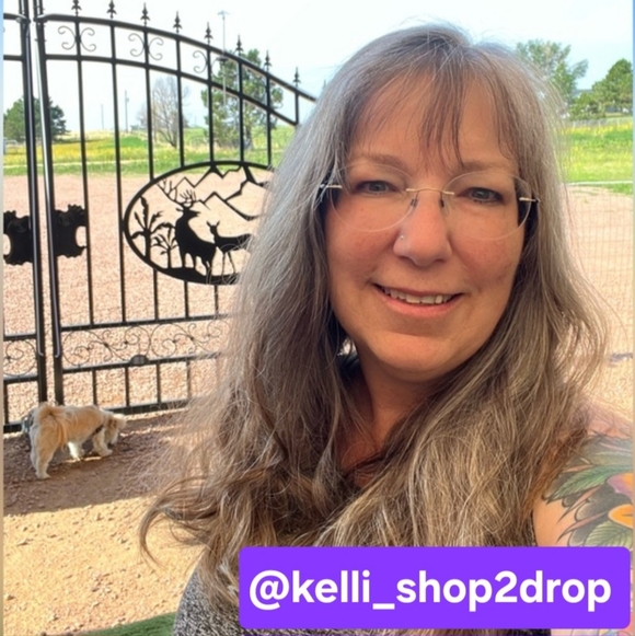 Funky & Fun Share Show Train 8am-11pm No Lux - Picture 4 of 14